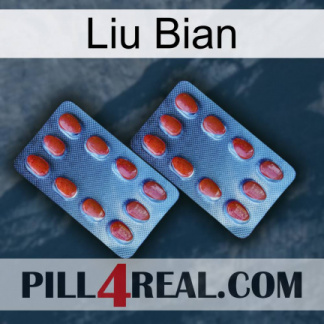 Liu Bian 05